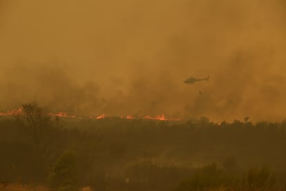 Los servicios de emergencia trabajaban este viernes en la extinción del fuego en la carretera de acceso a la población de Cualedro (Ourense).