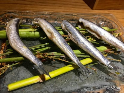 BOQUERONES EN VINAGRE / CAPEL