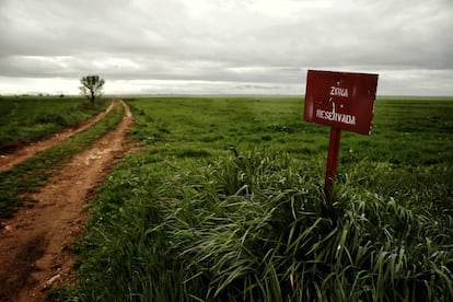 Terrenos protegidos de Campo Real para construir el aeropuerto fallido.