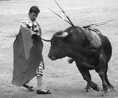 El torero Ángel Teruel, en la Feria de San Isidro de 1981.