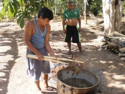 Un xaman prepara ayahuasca a l'Amazònia equatoriana.