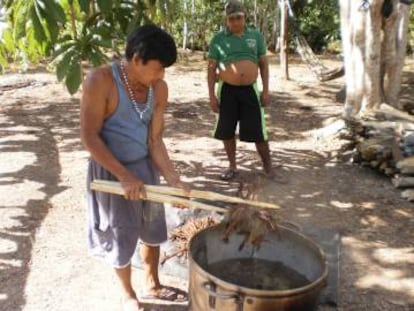 Un chamán prepara ayahusca en la Amazonia ecuatoriana.