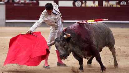 El torero Rafael Cerro en una faena en Feria de San Isidro 2015. 