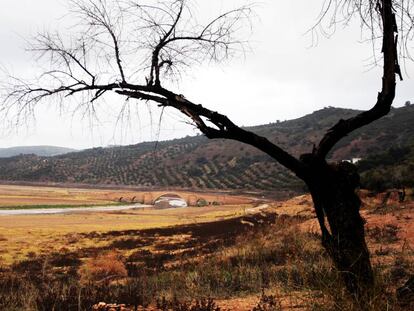 Embalse de Giribaile, en Ja&eacute;n.