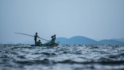 Un grupo de pescadores comunitarios de Álvaro Obregón pesca en la Laguna Superior.