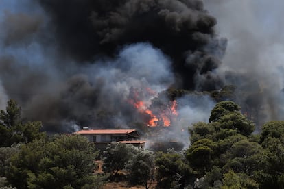 Incendio en la región de Keratea, cerca de Atenas, el pasado 30 de junio. 