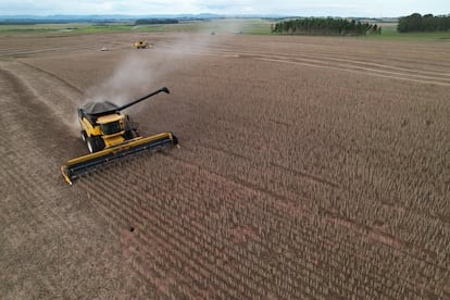 Cosecha de soja en el sur de Brasil en marzo de 2023.