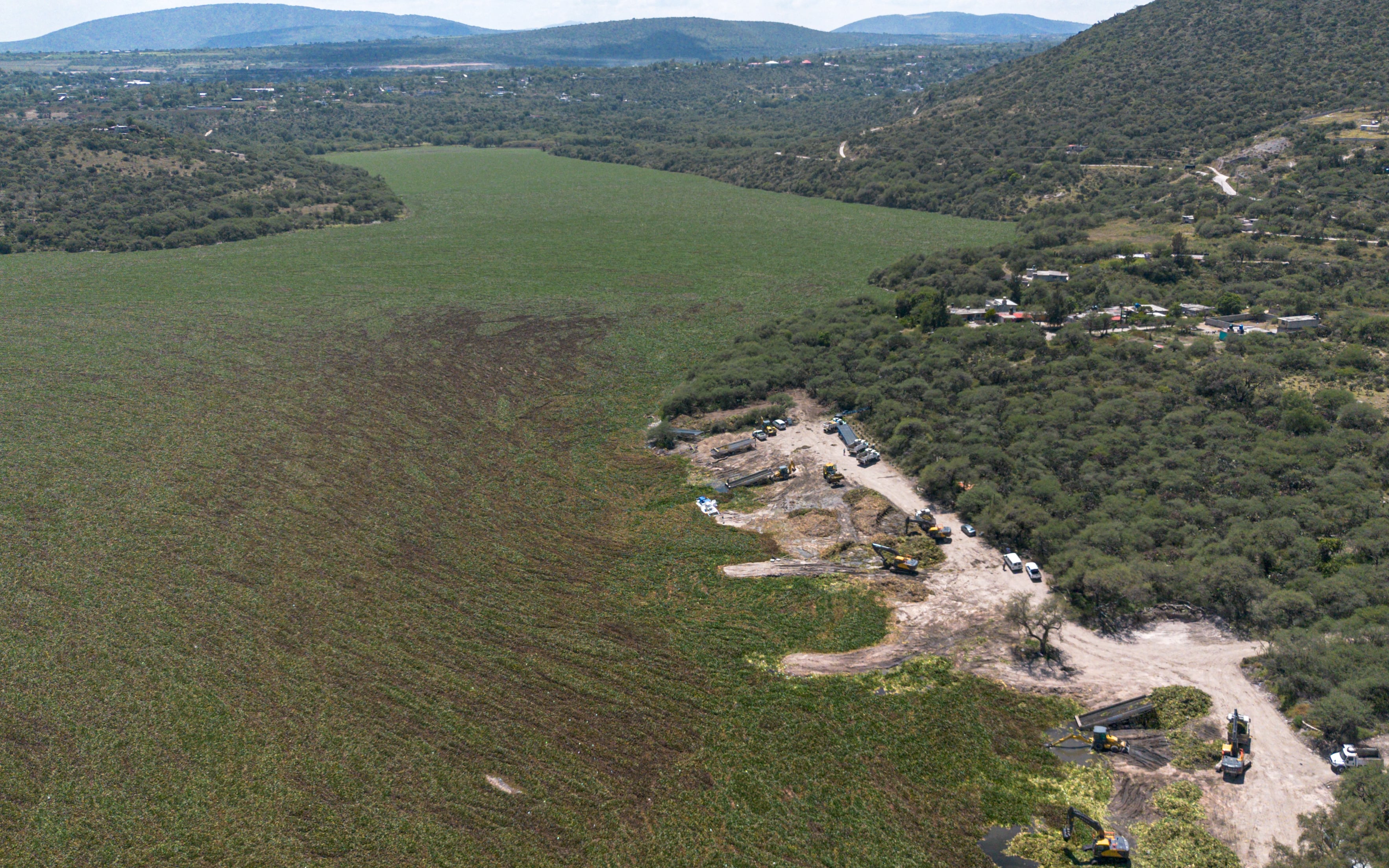 Maquinaria encargada de quitar el lirio acuático de la presa Endhó. El 22 de septiembre del 2026.