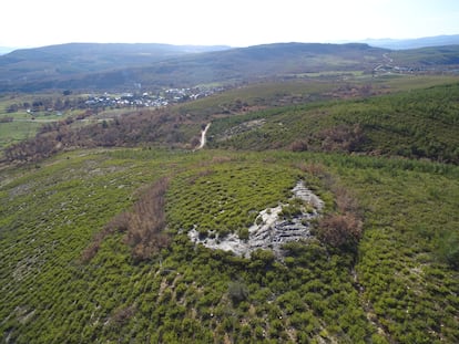 Castro de Bildeo, en Sorbeda del Sil, con su recinto arrasado por una repoblación forestal.