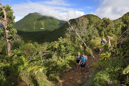 Senderistas en el en el par­que nacional Morne Trois Pitons, en la isla caribeña de Dominica.