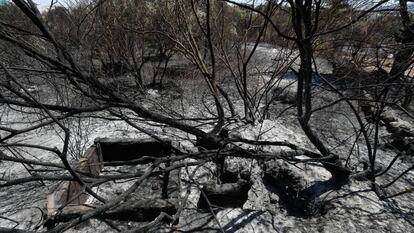 Una zona devastada per l'incendi que afecta Madrid.