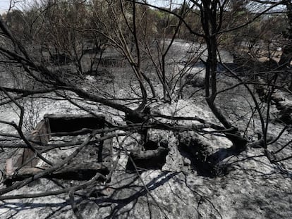 Una zona devastada per l'incendi que afecta Madrid.