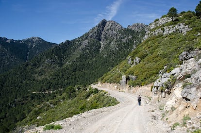 Una senderista en el parque nacional de Talassemtane.