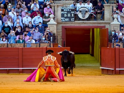 El torero Manuel Escribano recibe al toro a puerta gayola en la corrida de la Feria de San Miguel (Sevilla) del 3 de octubre.