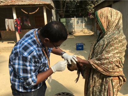 Un experto en medicina de First One Health en Bangladesh está recogiendo hisopos cloacales para la detección de enteropatógenos en las aves de corral, un gran avance en la prevención de enfermedades infecciosas.

 
