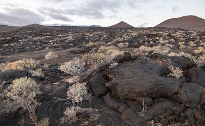 Campos de lava cerca de La Restinga, en El Hierro.