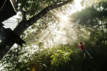 Un sistema de tirolinas entre las copas de los árboles en la reserva natural de Bokeo (Laos).