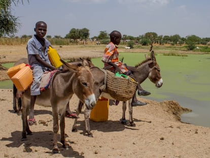 Dos ni&ntilde;os dan de beber a sus burros en una charca sucia en Diffa, N&iacute;ger. 