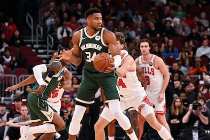 Milwaukee Bucks fichan a Alex Antetokounmpo NBA