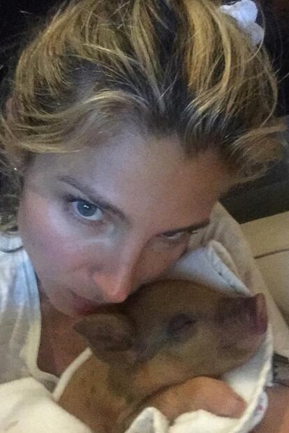 Elsa Pataky.

La excuñada de Miley Cyrus también se dejó seducir por el encanto de estos animales y en 2016 adoptó una cerdita vietnamita llamada Tina.