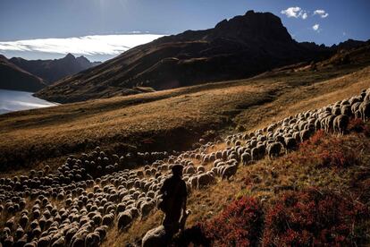 Gaétan pastorea un rebaño de 1.300 ovejas en Los Alpes, entre el macizo de Belledonne y el valle de Maurienne, desde junio hasta finales de octubre.