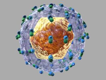 Virus de la hepatitis C.