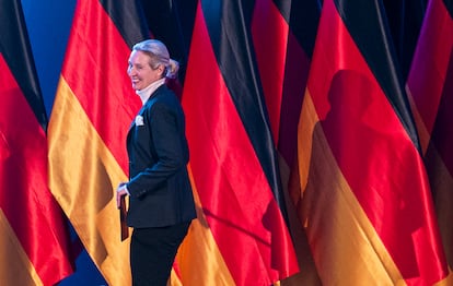 Alice Weidel at an election campaign event on February 7 in Greding (Bavaria).