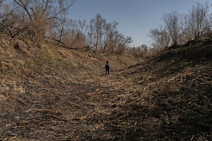 Lázaro, de 7 años, recorre el cauce de un río que se secó por completo. 
