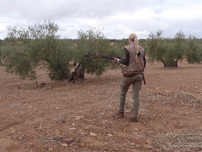 Un cazador en un olivar en la provincia de Jaén durante el estado de alarma.