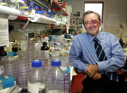 Mariano Barbacid en el Centro Nacional de Investigaciones Oncológicas, en Madrid.