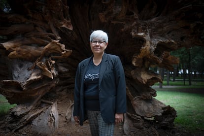 Mónica Pacheco Skidmore en el bosque de Chapultepec.