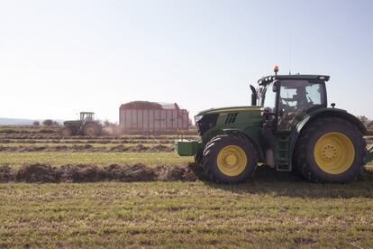 Fase de carga de la alfalfa ya segada en uno de los campos de José Manuel Rivera.