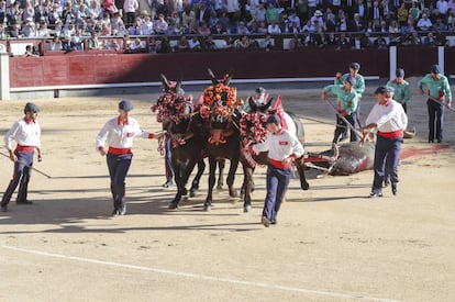 Tiro de mulillas de la plaza de Las Ventas.