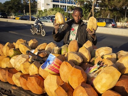 Vendedor de cocos en Dakar.