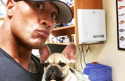 Dwayne Johnson con su mascota en una imagen de septiembre.