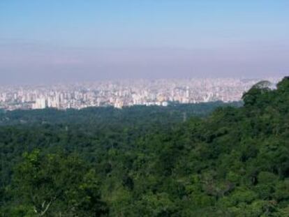 Vista de São Paulo desde Cantareira.