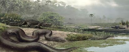 Recreación de la serpiente 'Titanoboa Cerrejonensis'