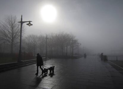 Una mujer pasea con sus perros por un parque de Manhattan bajo un sol que intenta asomar entre la densa niebla.