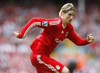 Fernando Torres