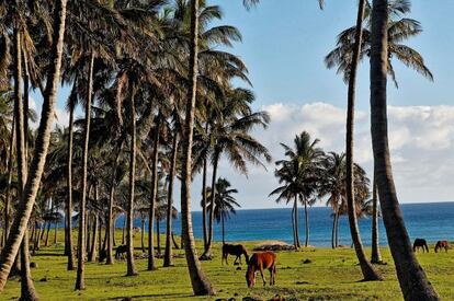 Rapa Nui vive de los 80.000 turistas que visitan este rincón del planeta de origen volcánico.