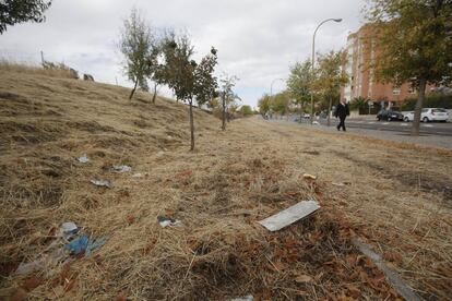 Parque Manolito Gafotas en el barrio de Carabanchel Alto (Madrid).