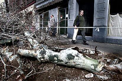 Los vecinos del paseo de Maragall observaban, ayer, la tala de plátanos provocada por las obras en las aceras.