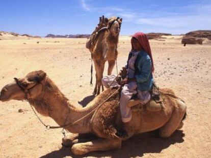 Un beduino monta un dromedario en el desierto.