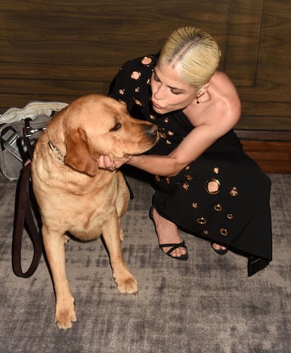 Selma Blair junto a su perro en la alfombra roja de los premios 'The Daily Front Row's', el 6 de septiembre de 2024.