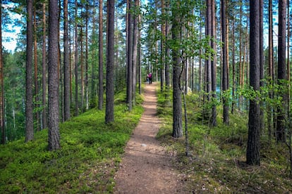 Salpausselkä, el cuarto geoparque mundial, en la región de Lahti, al sur de Finlandia.