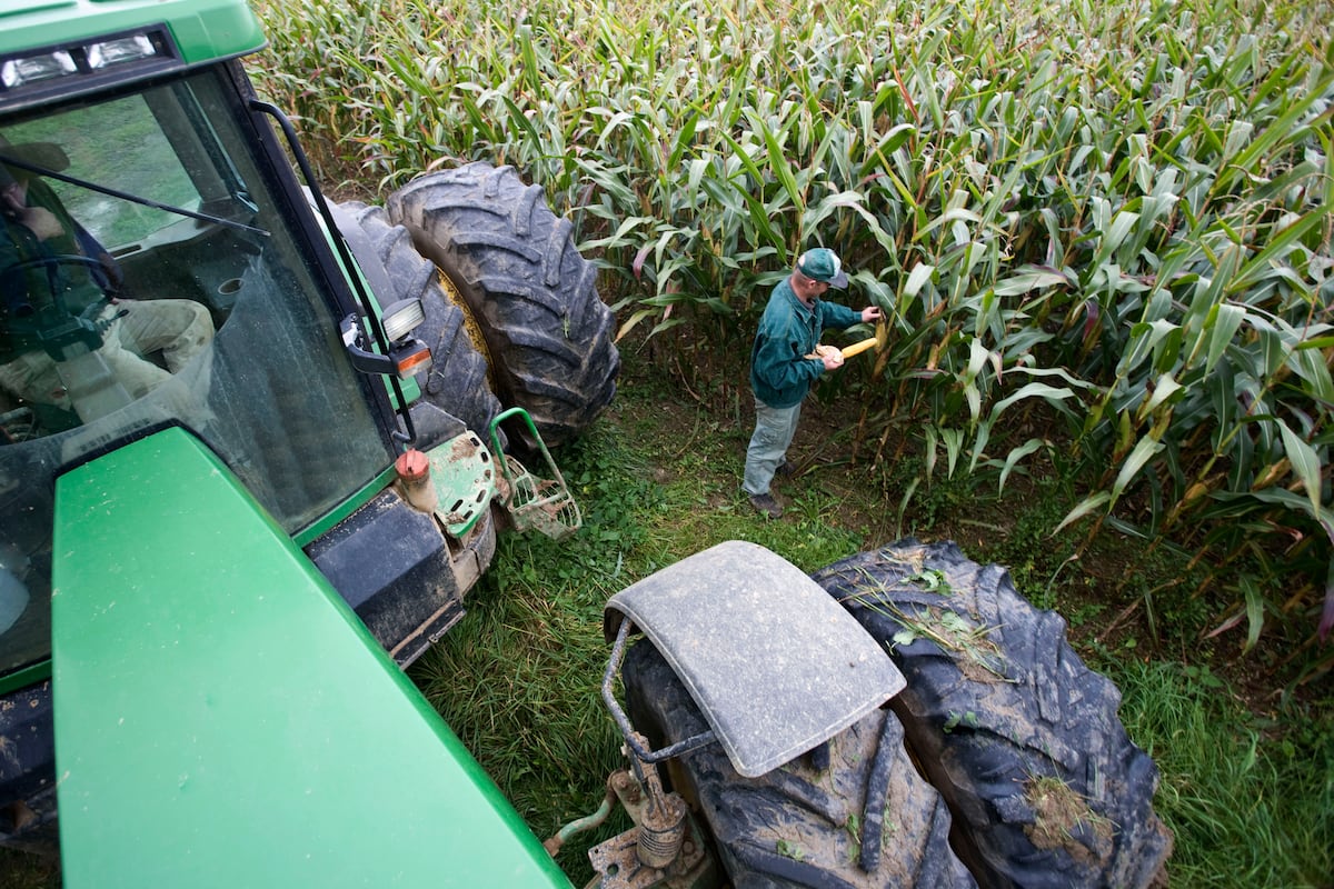 Aumenta la incertidumbre en el campo mexicano por la disputa con EE UU ...