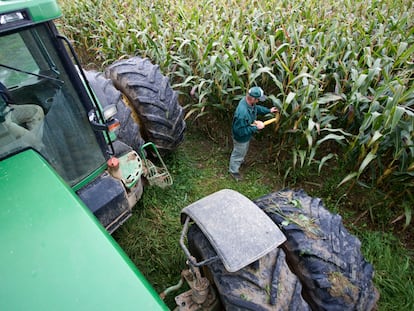 Imagen de archivo de un agricultor cosechando maíz transgénico en Estados Unidos.