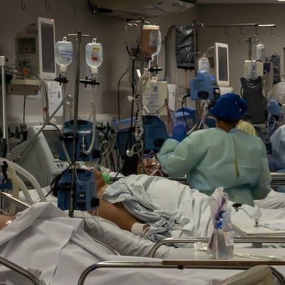 Brazil students medical school