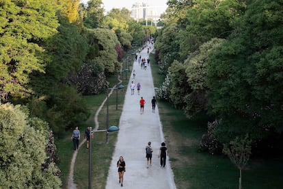 Paseo central del Jardín del Turia, en el antiguo cauce del río, con el puente llamado popularmente La Peineta al fondo.