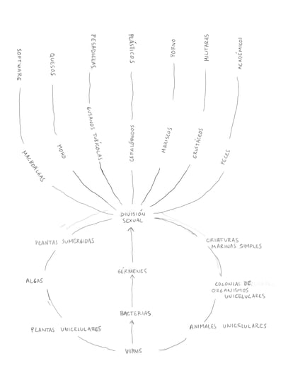 El origen de las especies. Ilustración de David Byrne para su libro 'Arboretum'